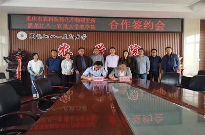 南北攜手筑種業新高地 農學院與重慶市農科院特色作物研究所深化合作，共促重慶特色作物技術升級